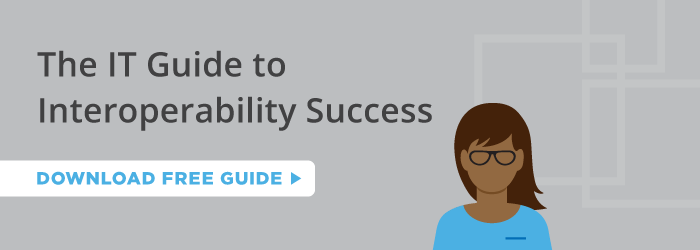 The IT Guide to Interoperability Success